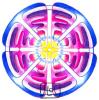 Mandala pro nervovou soustavu - Mozek